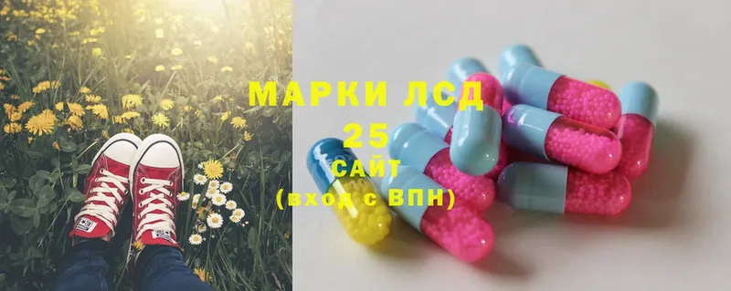 LSD-25 экстази ecstasy  продажа наркотиков  Опочка 